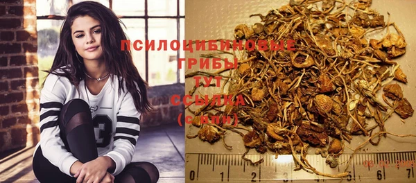 МДПВ Арсеньев