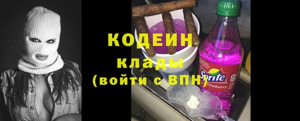 шишки Аркадак