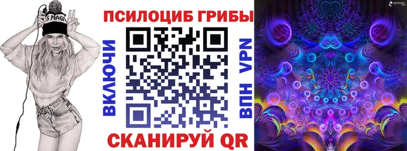 закладка  Хотьково  Псилоцибиновые грибы MAGIC MUSHROOMS 